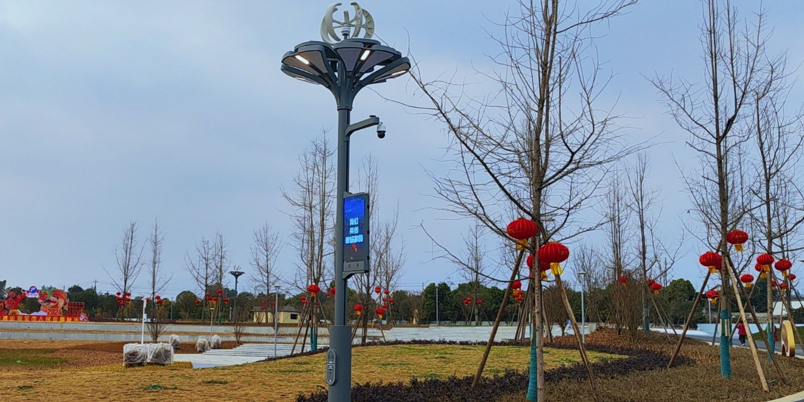 快來圍觀，種在綿竹市城北濕地公園的“智慧樹”亮燈啦